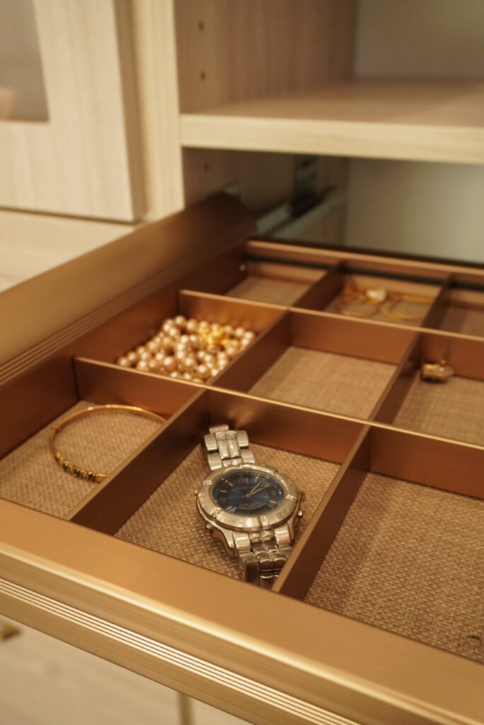 Jewelry tray closet accessories